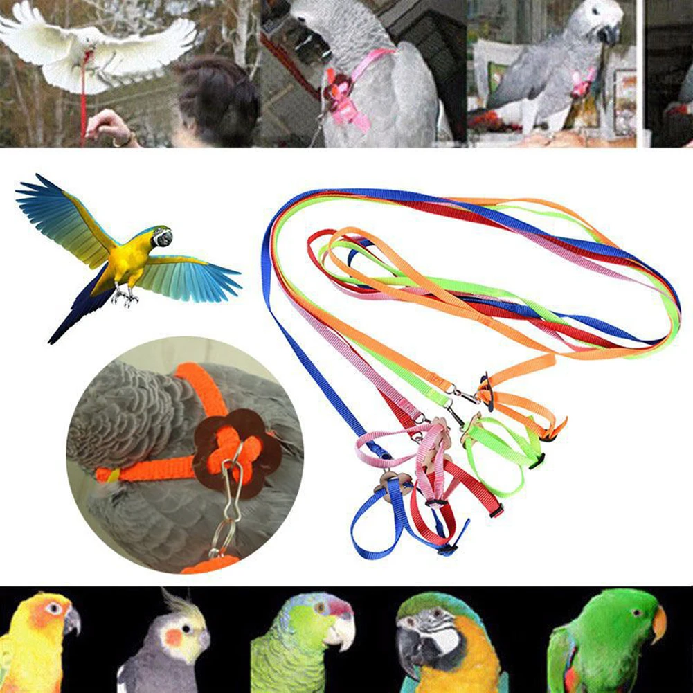 Parrot Harness Traction Rope Reptile Outdoor Safety Belt 5 Color Belt Gerbil Lizard Anti-bite Multi-color Light Traction Rope