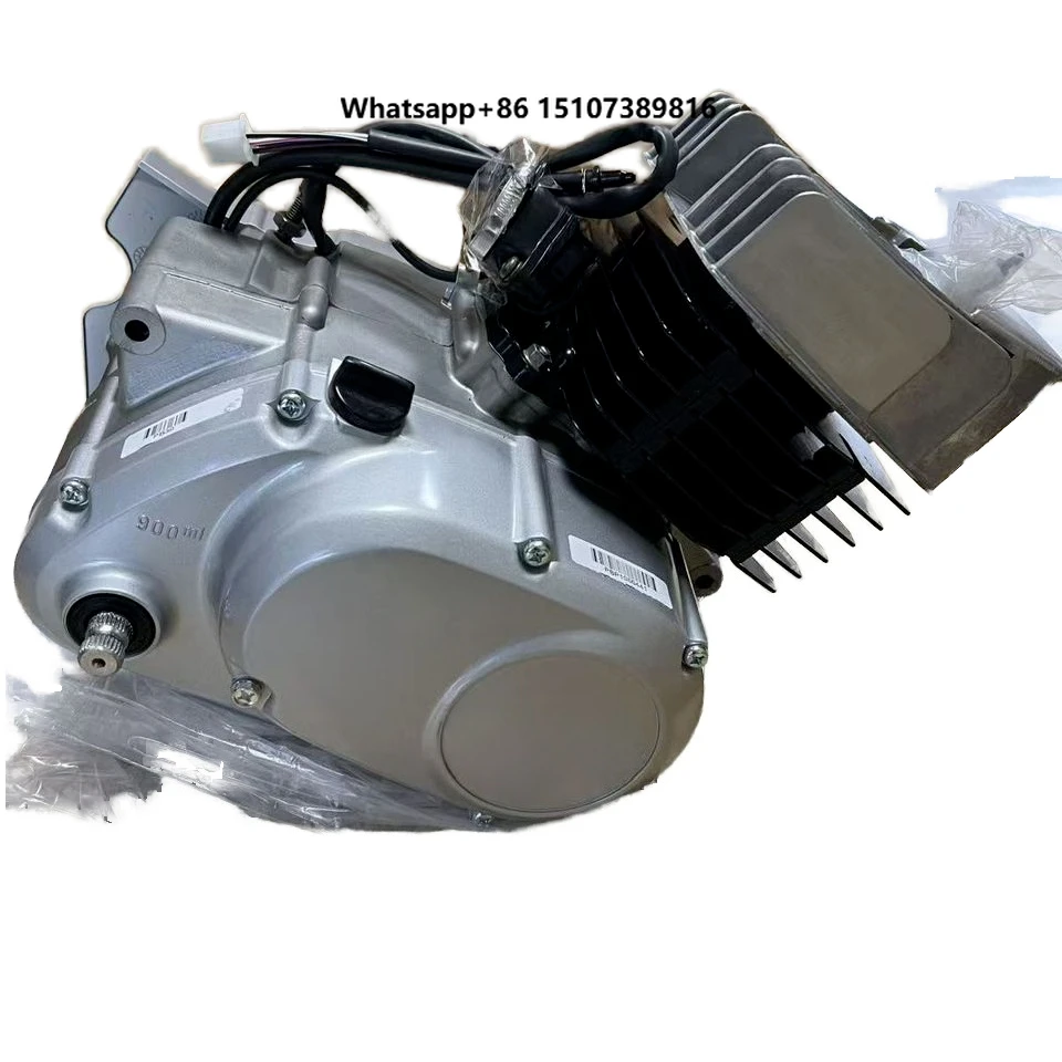 Customized 100cc Lifan AX100 Engine Kit for Bike Cross Electric & Kick Start 2 Stroke Motor for Triumph Motorcycles