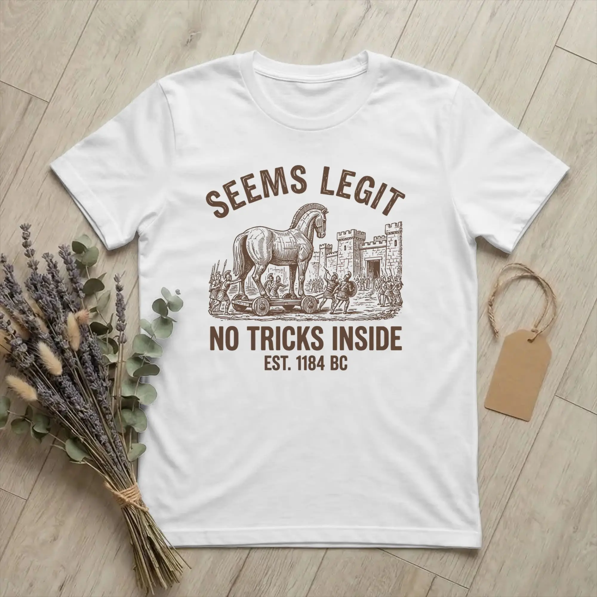 Funny Trojan Horse Seems Legit Ancient History Meme Odysseies  T Shirts Men 100% Cotton Vintage T-Shirt Crew Neck Tee Shirt