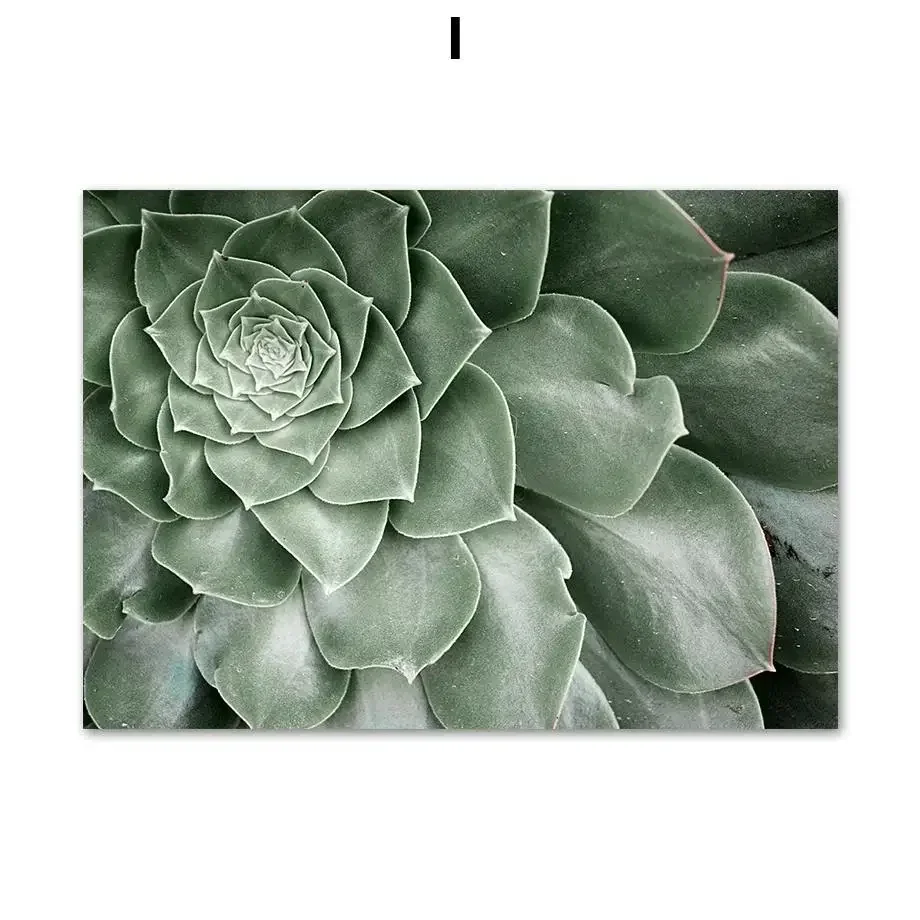 Nordic Style Botanical Wall Art  Tulip Aloe  Monstera Leaf Canvas Prints for Living Room