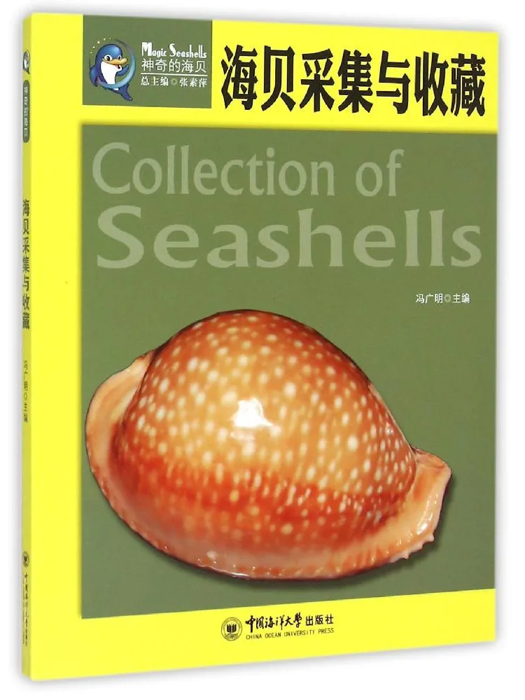 

Book-Winshare Seashell Collection and Collection