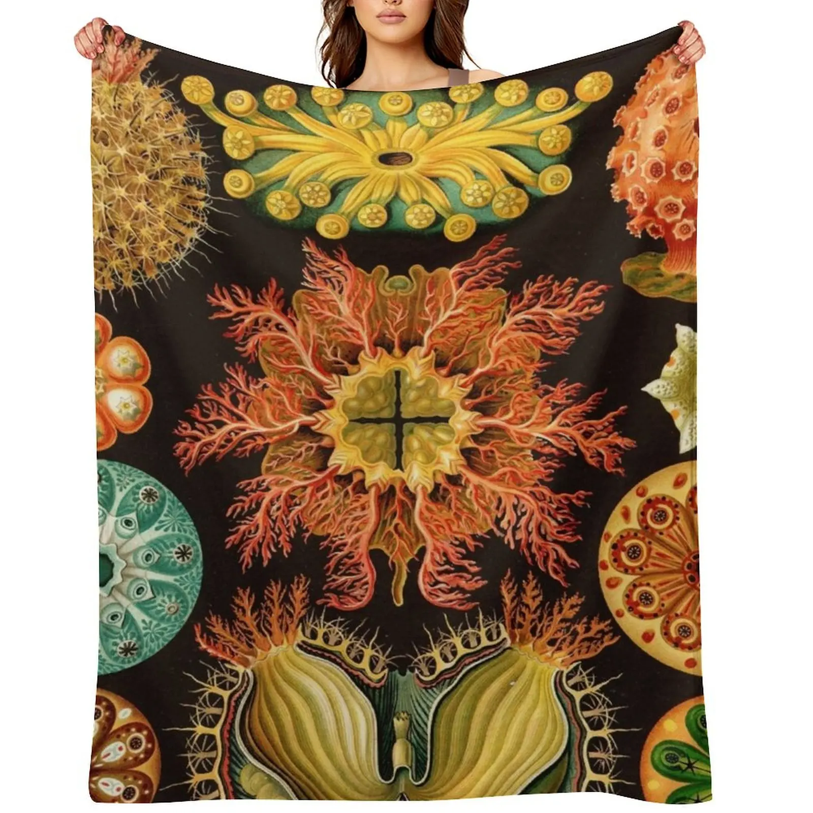 

Ernst Haeckel - Ascidiae (Sea Squirts) - Vintage Botanical illustration Throw Blanket Hairys Flannel Fabric Large Blankets