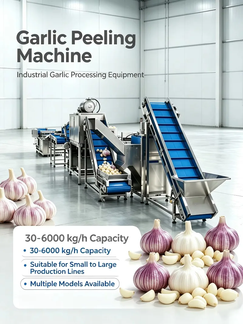 Multi Functional Garlic Processing Line Dry Peeling Clove Splitter Integrated for Industrial Food Plant Custom
