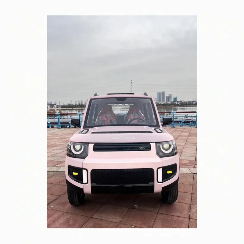 Hot Sale New Multifunctional Cheap 2000W Aluminum Wheels  Small Size No License Required Women Family Use Daily Ride