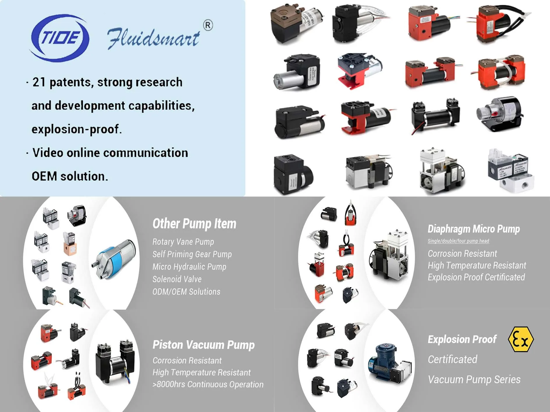 Double Head Pump 1v 2v Mini Brushed Dc Pumps  3v 4v Factory ODM Design for Sale Carbon Brush Micro Pump view 5