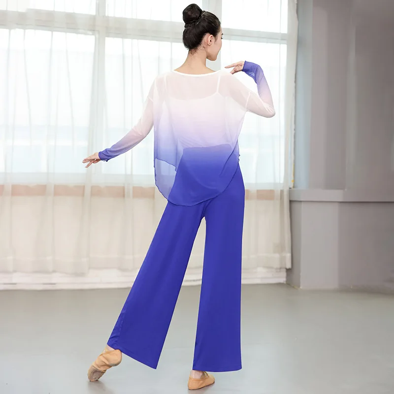 Новая классическая танцевальная одежда, женские топы из плавающей пряжи, тренировочная одежда, современный танец в китайском стиле, свободная сетчатая пряжа с длинными рукавами