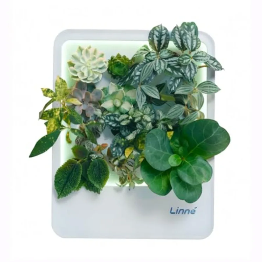 

Indoor Garden Hydroponic System with LED Grow Light for Herbs Grey Efficient Indoor Herb Growing Solution