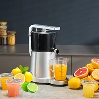 Wholesale High Quality Fruit Extractor Hand Press Lemon juice press Orange Maker SS Orange Juicer Squeezer Manual