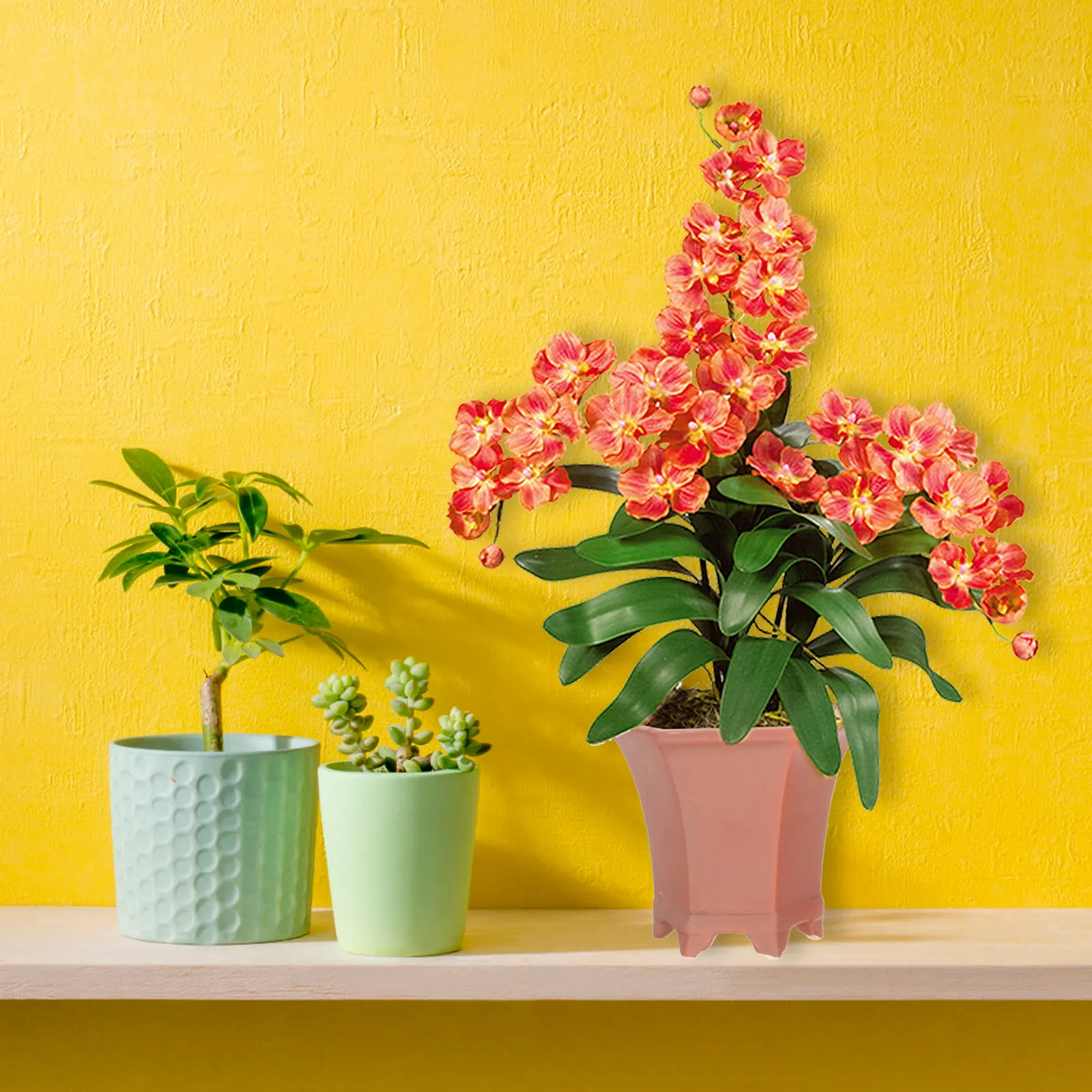 

2Pcs Small Ceramic Flowerpot with Drainage Holes Modern Succulent Pots for Home Office Decor Nursery Plant Pot Household Plant