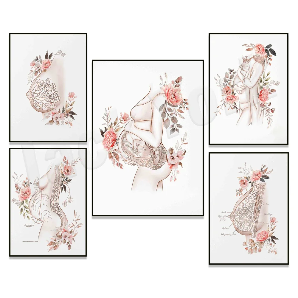 Breast Anatomy Print, Breast Print, Breast Art, Doula Gift, Midwife Gift, Breast Art Floral Print, OBGYN Office Decor Poster