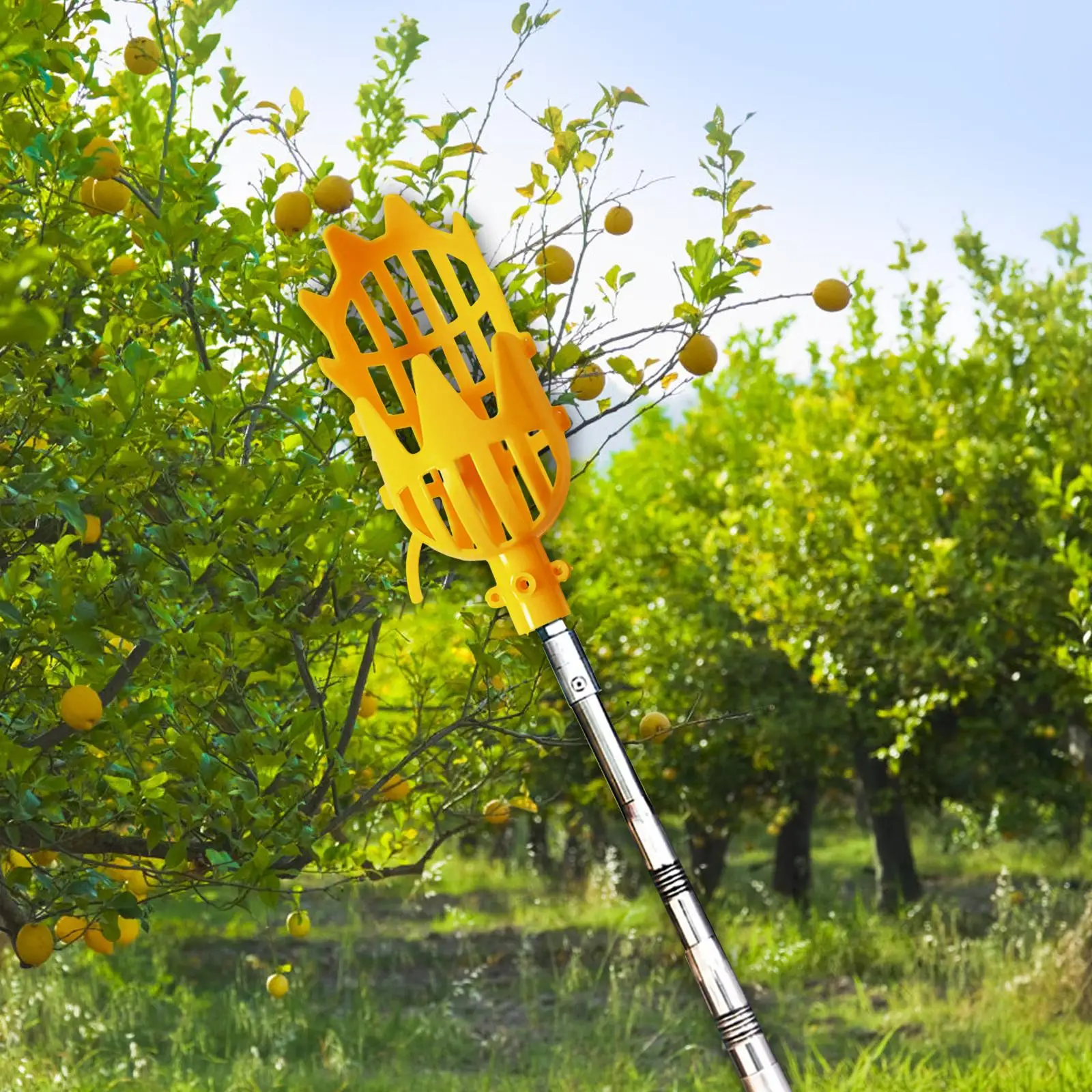 Fruits Catcher Garden Tools Lightweight Portable Fruit Picking Tools Fruit Picker Head Basket for garden Cherry Agricultural