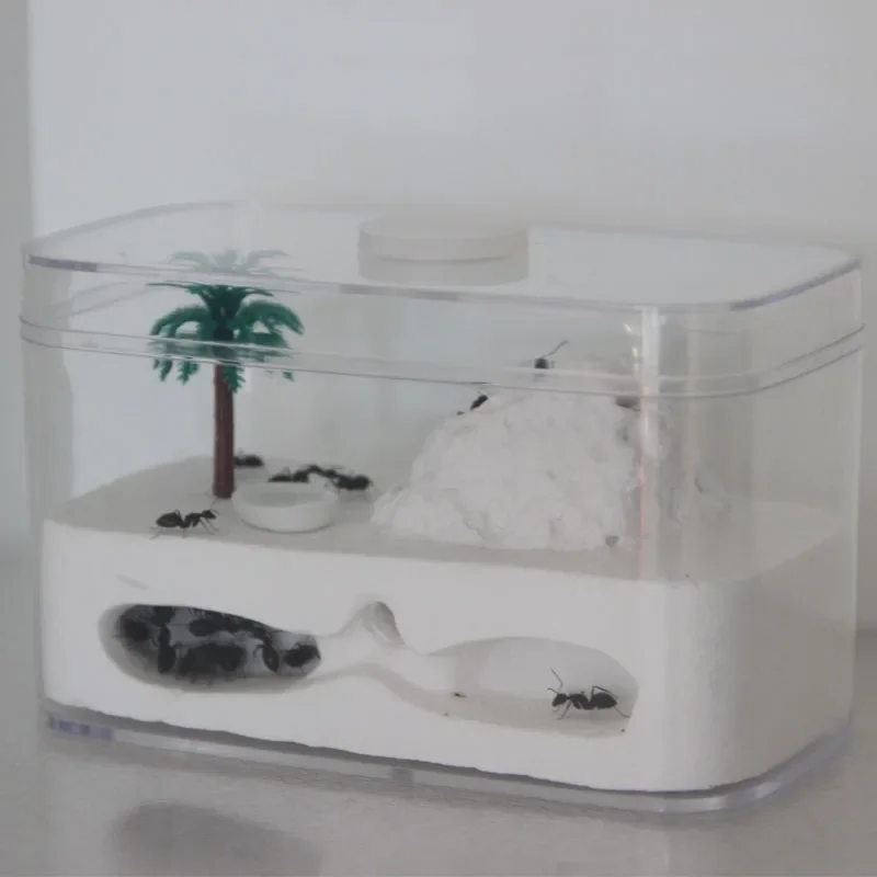 AntPet Gypsum Nest Castle Workshop Home Gift Raise Insect Supplies Simple Nest