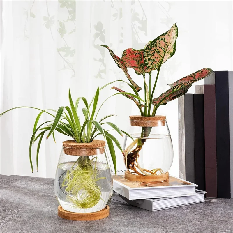 ABSS-4 PCS Mini Transparent Terrarium Glass As Shown Glass Garden Living Room Home Tabletop Decoration