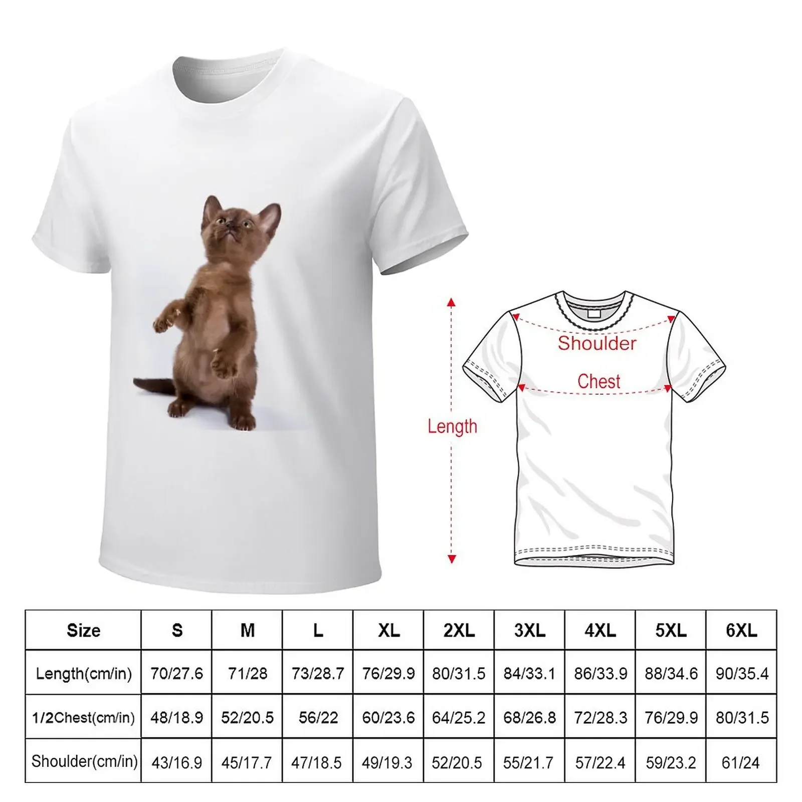 Brown Burmese kitten (isolated on white) T-Shirt aesthetic clothes sweat Short sleeve tee tshirts for men