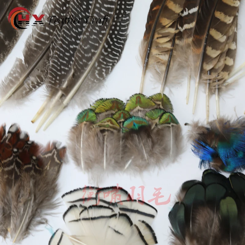 Wholesale Natural Pheasant Peacock Feathers Small Eagle Chicken Plumes Ostrich Decor DIY Handicraft Accessories Jewelry Creation