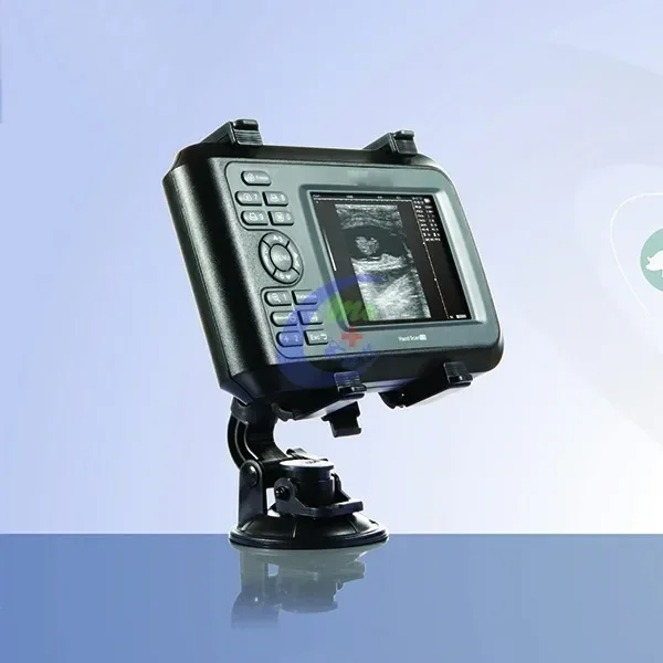 Manufacture Pet Clinic Cow Test