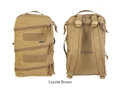 Coyote Brown
