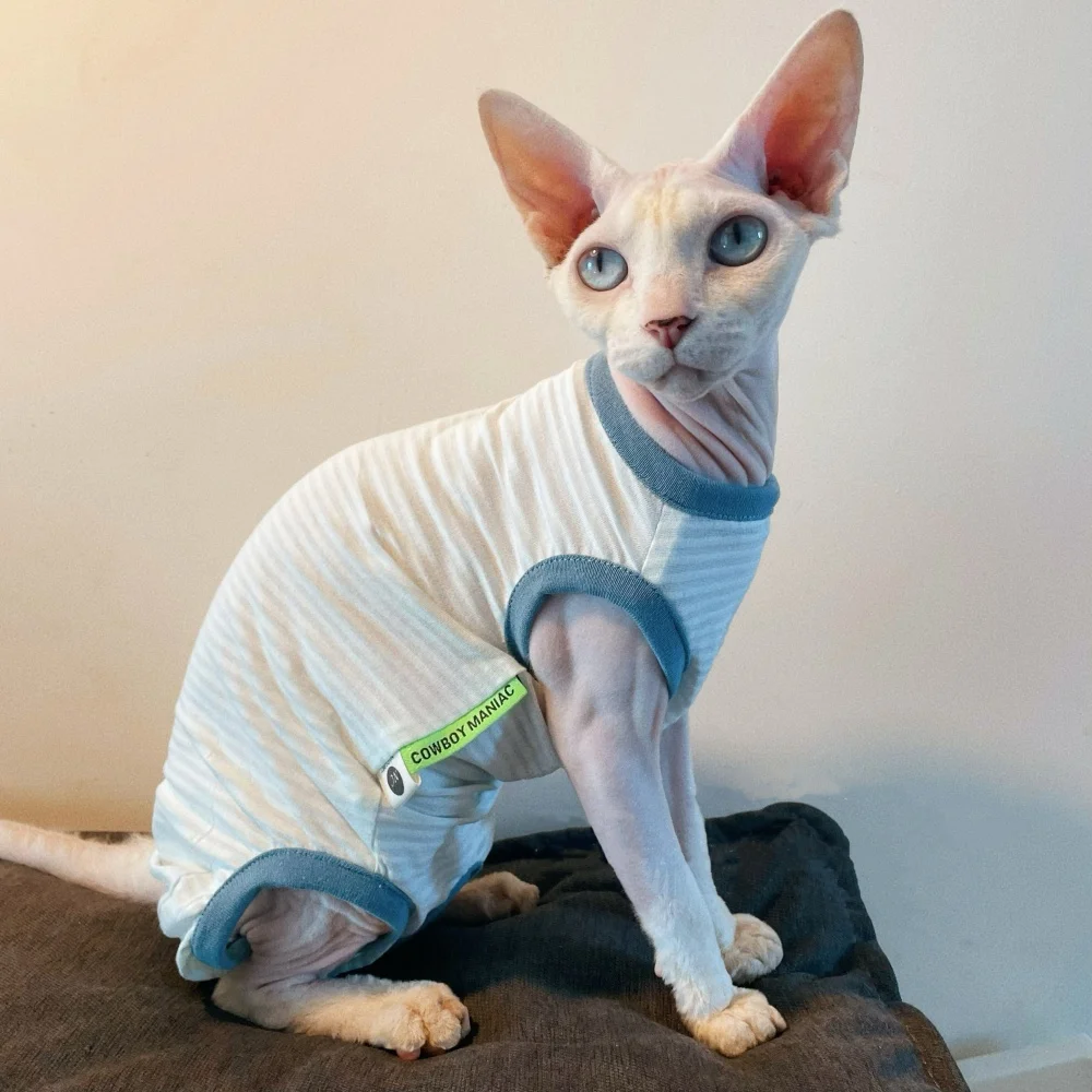 Gilet à rayures bleues de protection solaire à quatre pattes pour chat Sphinx T-shirt mince et respirant sans manches pour Devon Rex Costume en