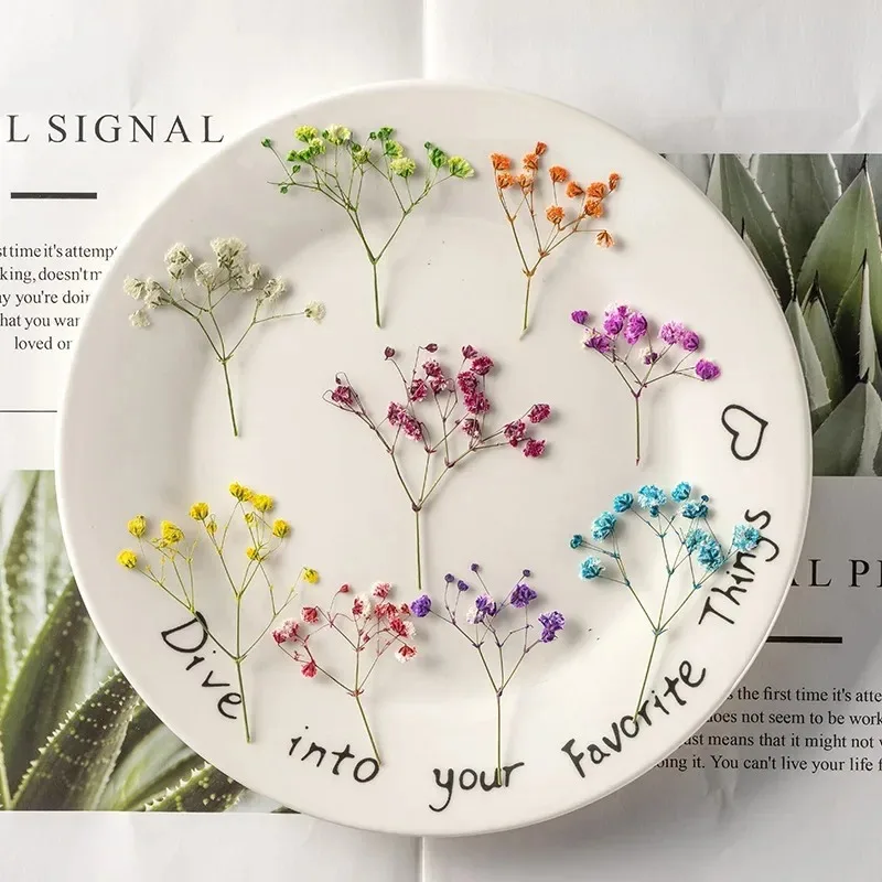 nature Gypsophila paniculata dried flower,pressed babysbreath flower DIY photo frame drip glue bookmark decoration,4-6cm/12pcs