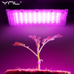 Full Spectrum LED Grow Light AC220V 50W Phyto Lamp LED Floodlight Indoor Outdoor Greenhouse Plant Hydroponic Plant Spotlight