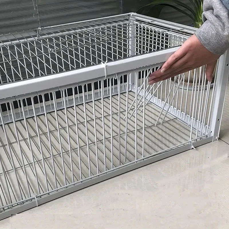 Mid Foldable Galvanised Pigeon Bird Trap Cage Feral Pigeon humane way with the one-way entrance Trapping Pigeons doves In Cages