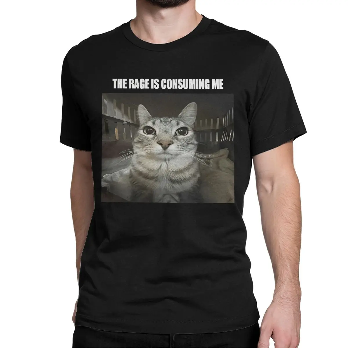 Rage Is Consuming Me T-Shirts Men Women's Crew Neck 100% Cotton T Shirt Silly Staring Cat Meme Short Sleeve Tees Adult Clothes