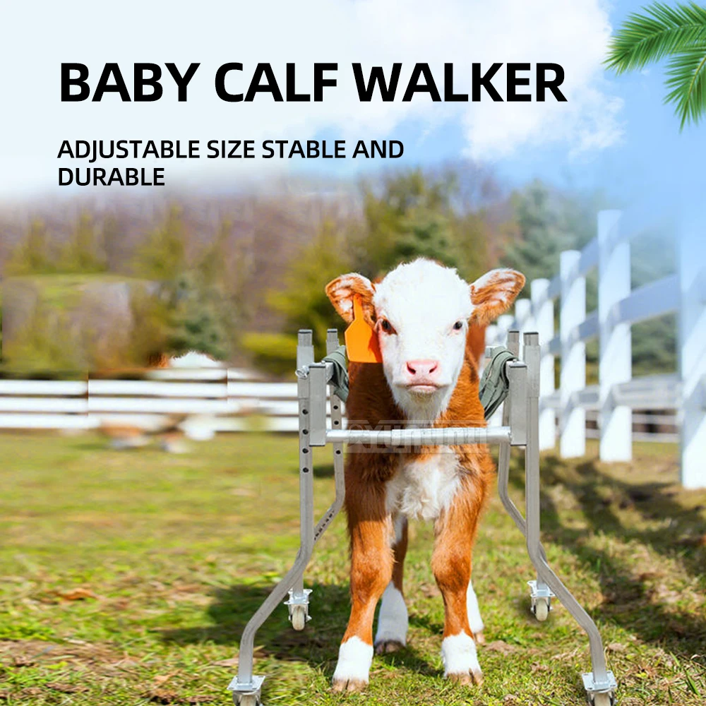 Animal Rehabilitation Walking Assist Vehicle Bracket Cattle Sheep Walker Stand Veterinary Breeding Farm Use