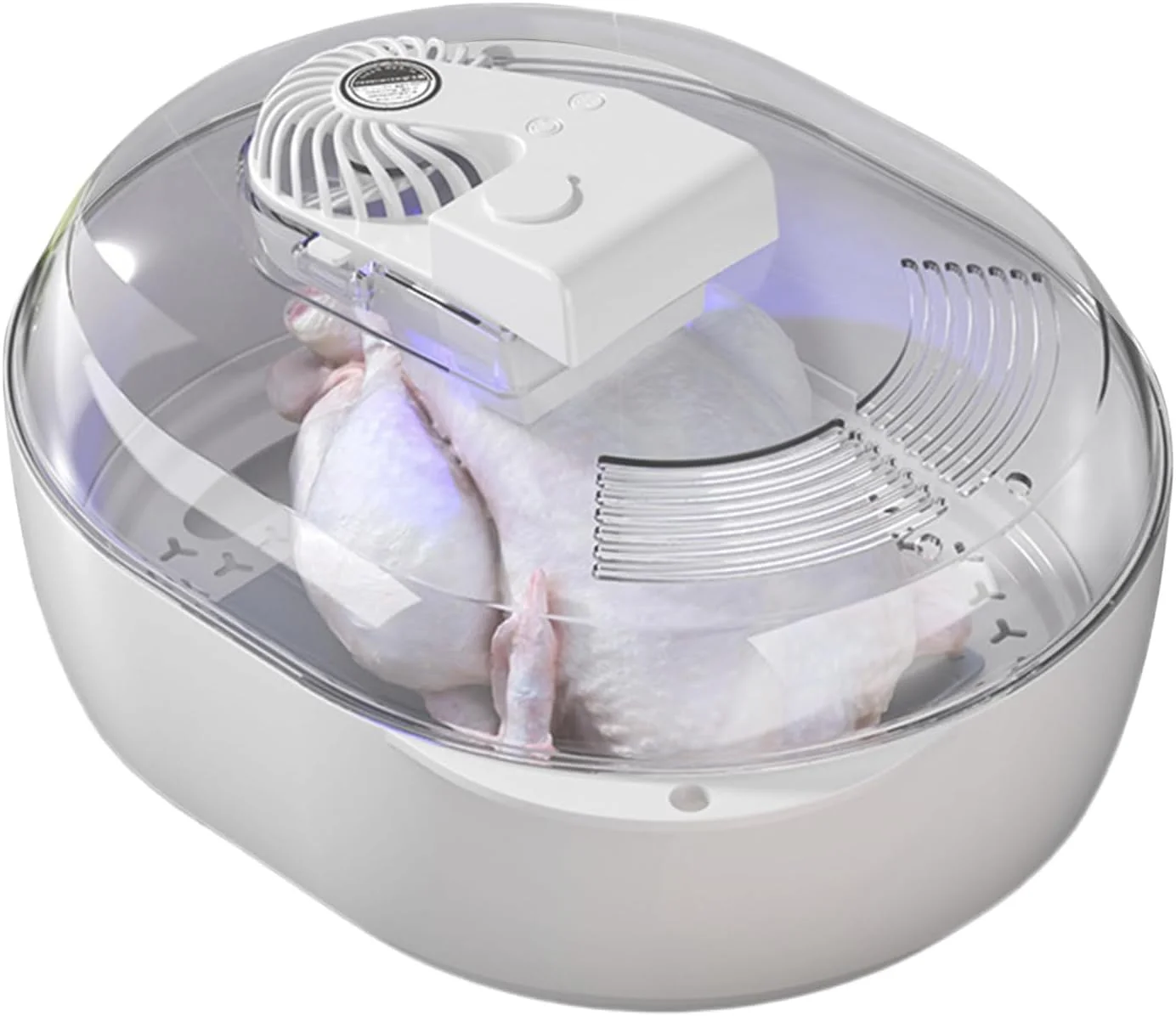 Frozen Meat Thawer Machine Ultrasonic Atomization 6 in 1thawing Machine Food-Grade Material Pet USB Charging Defrosting Thawing