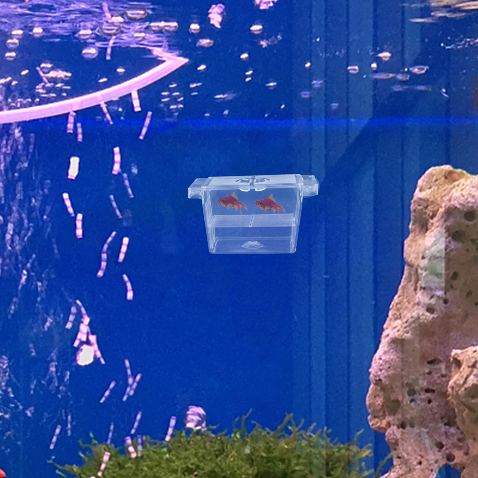 

Fry Box Hatching Aquarium Betta Fish Tank with Divider Isolation Breeding Nursery Accessory Nylon Separator Case