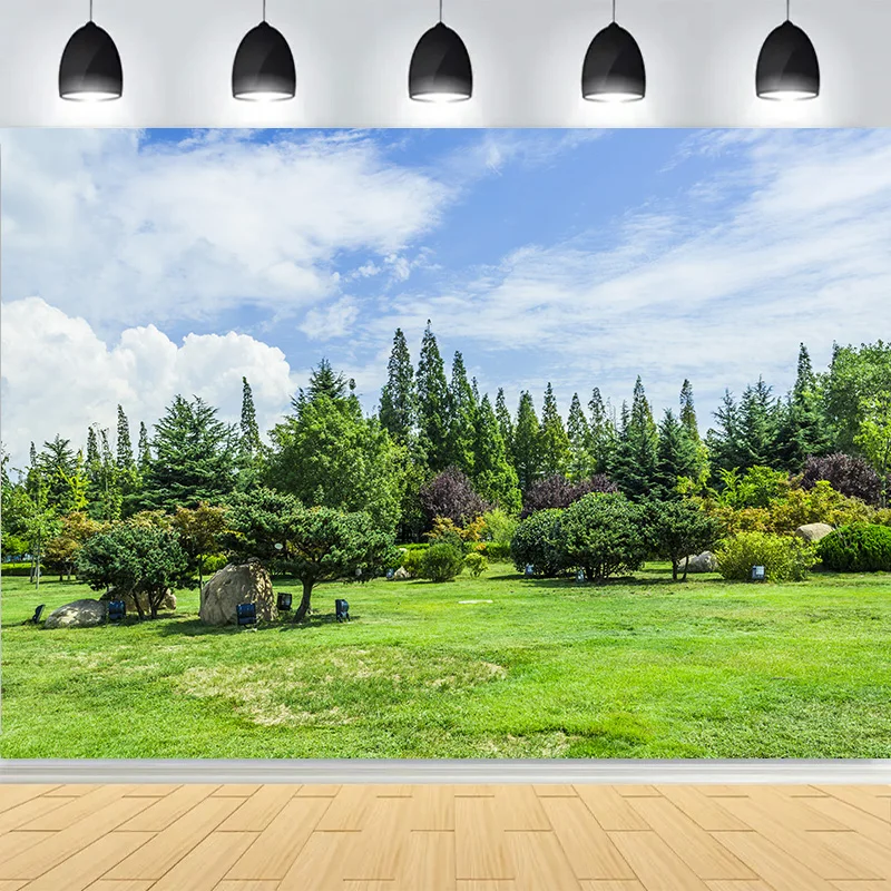Tranquil City Park Blue Sky Photography Backdrops Grass Landscape Bathed Morning Sunlight Garden Photo Background CG-02