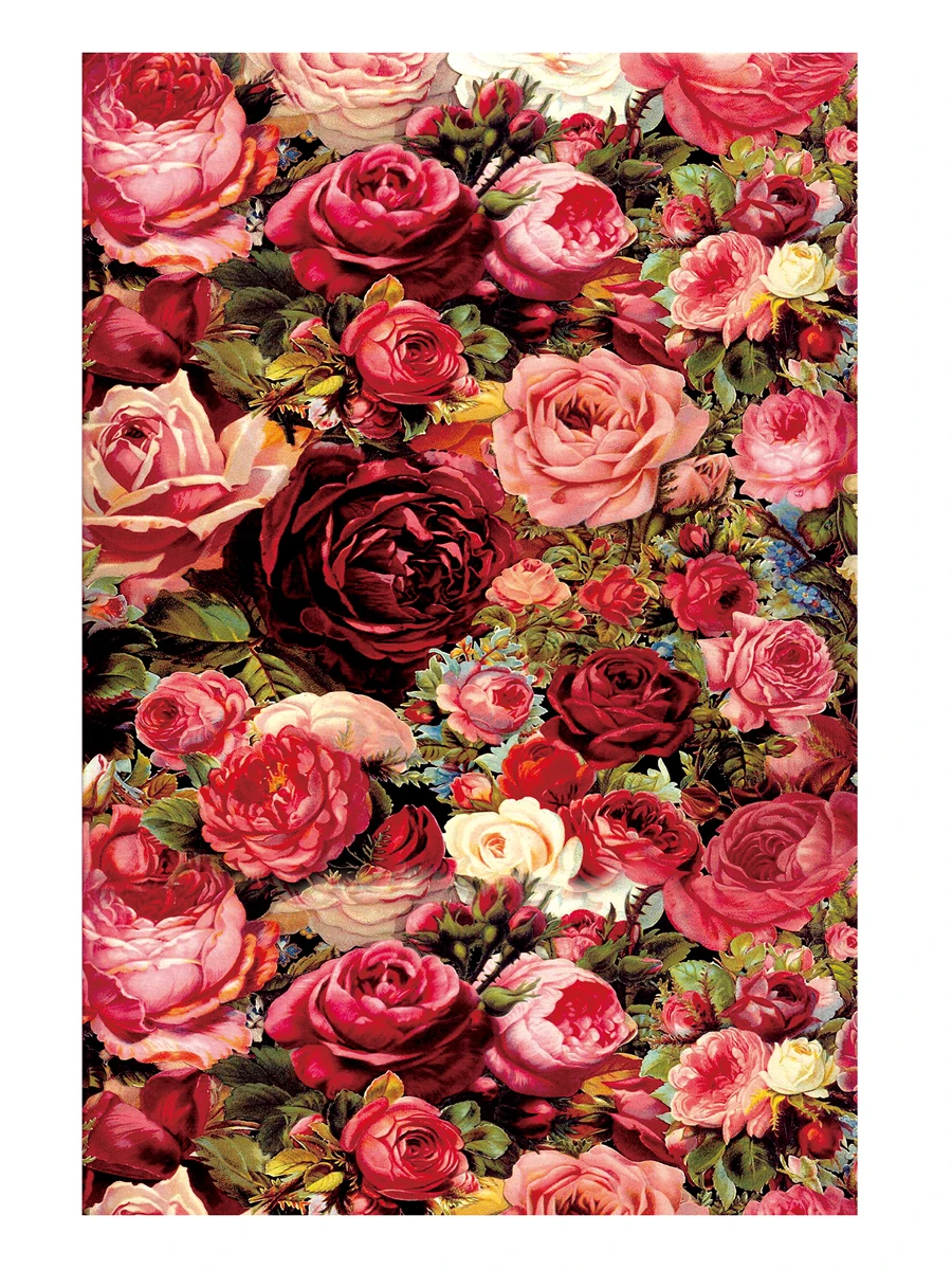 Rose Cross Stitch DIY Embroidery Set 9CT 11CT Fashion Craft Painting Printed Handmade Material Pack Needlework Kit Cotton Thread