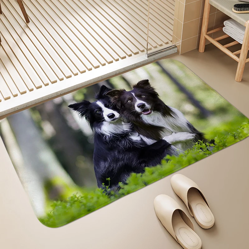 Border Collie Dog Cute Carpet for Bedroom Custom Living Room Rugs Entrance Door Doormat Washable Non-slip Kitchen Foot Mats