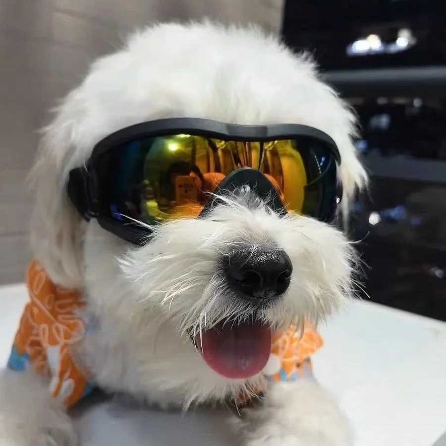 Adjustable TPU Dog Sunglasses UV Protection Small Pet Goggles Easy Wear Puppy Glasses for Outdoor Riding Driving Anti-splash Ski