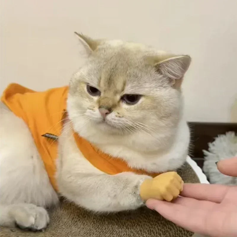 Katzen-Finger-Gesten-Handschuhe Kreatives Dehnbares TPR-Spielzeug Hohe Elastizität Interaktives Katzenspielzeug Sicheres Haustierspielzeug Lustiges Tierpfoten-Design – Detail 13