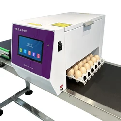 Faith Quick-drying  egg TIJ inkjet printer for Character Date QR Code Printing Shelf Life with OEM