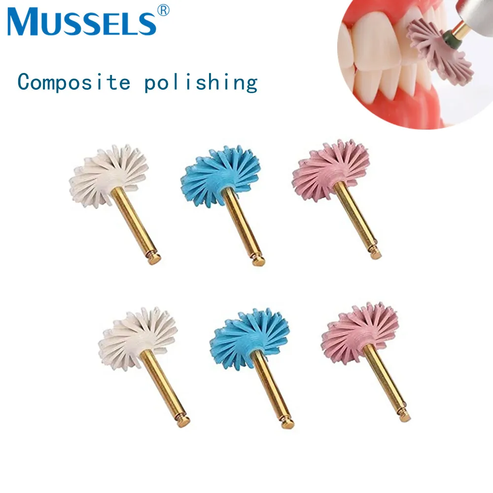 Polisseuse dentaire en caoutchouc, disques de polissage en résine Composite, roue, fraises diamantées, finition RA, Kit de brosse flexible en spirale pour dentisterie, grossière