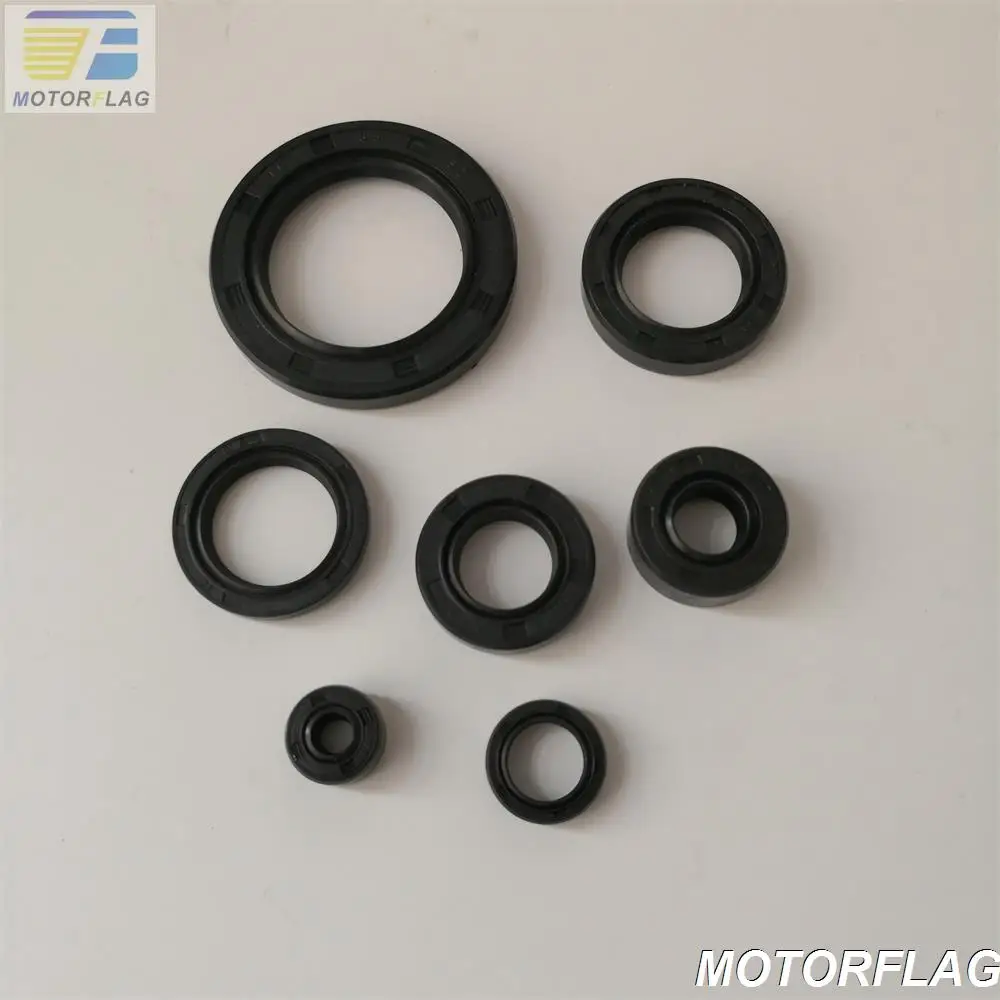 Engine Oil Seal Kit for Rebel CA250 Regal Raptor DD250 Jinlun Texan 250 Sanex QJ250-3 253FMM