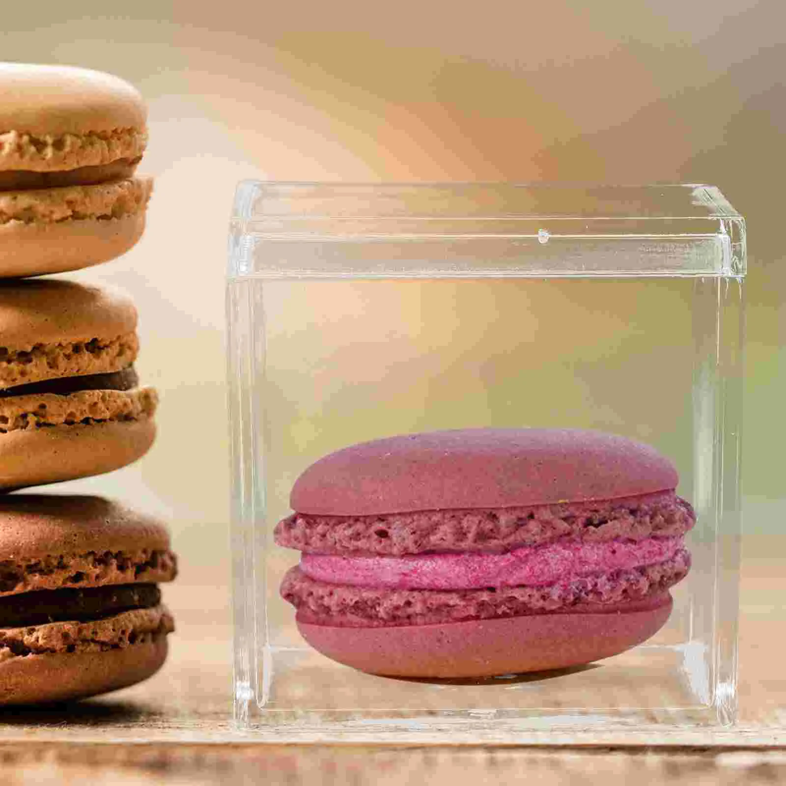 10 Pcs Packing Box Gift Container Party Candy Bag Containers Cookie for Giving Square Acrylic Boxes Cake Storage Packaging Case