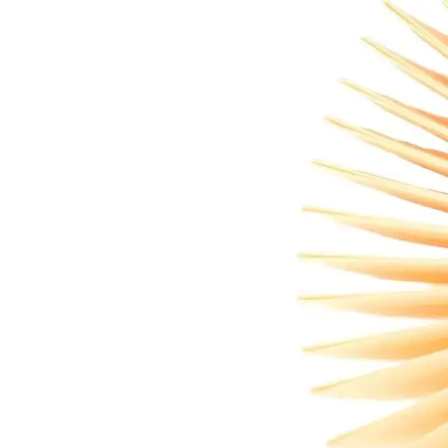 

2pc Flat Pleated Filters For Bosch GAS 35 L AFC GAS 35 L SFC+ GAS 35 M AFC Vacuum Cleaner Household Cleaning Filters Replacement