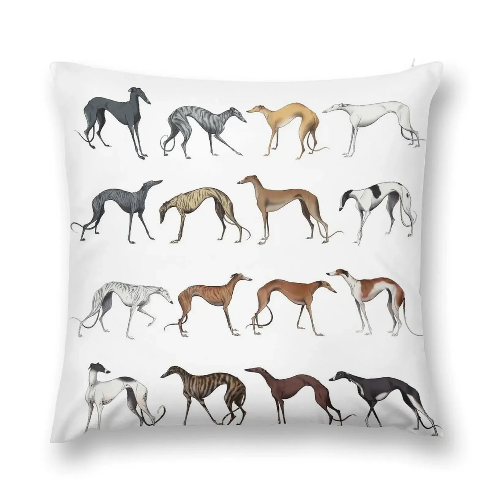 Galgo Colours Throw Pillow Decorative Sofa Cushions Sofa Cushion Couch Pillows pillow