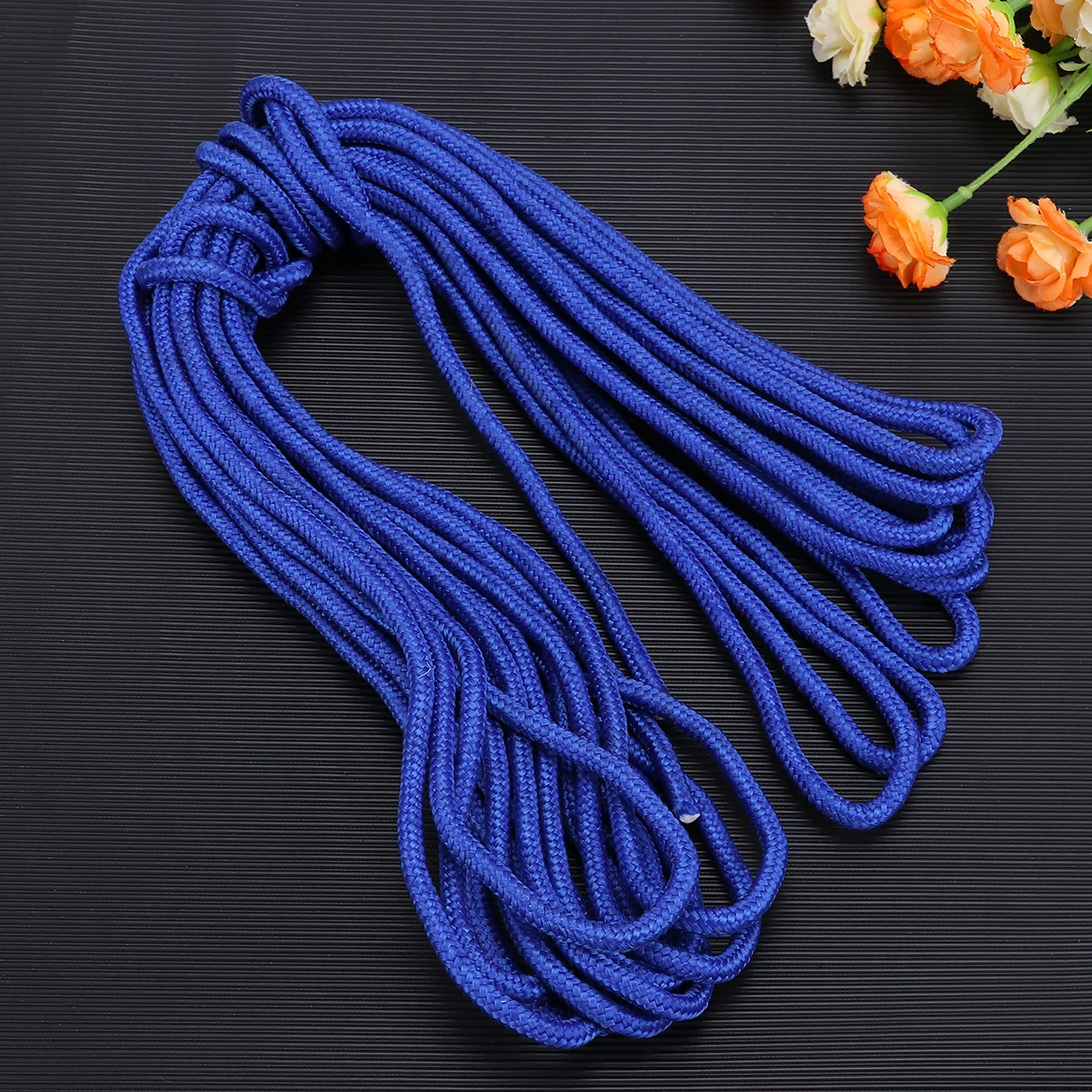 10M 6Mm Diameter Flagpole Nylon Rope Weather Resistant High Strength for Camping Clothesline Blue Flagpole Nylon Rope