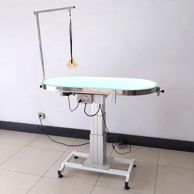 Electric Led Light Lifting Adjustable Height Hydraulic Foldable Large Lighted Dog Pet Grooming Lift Table For Dogs