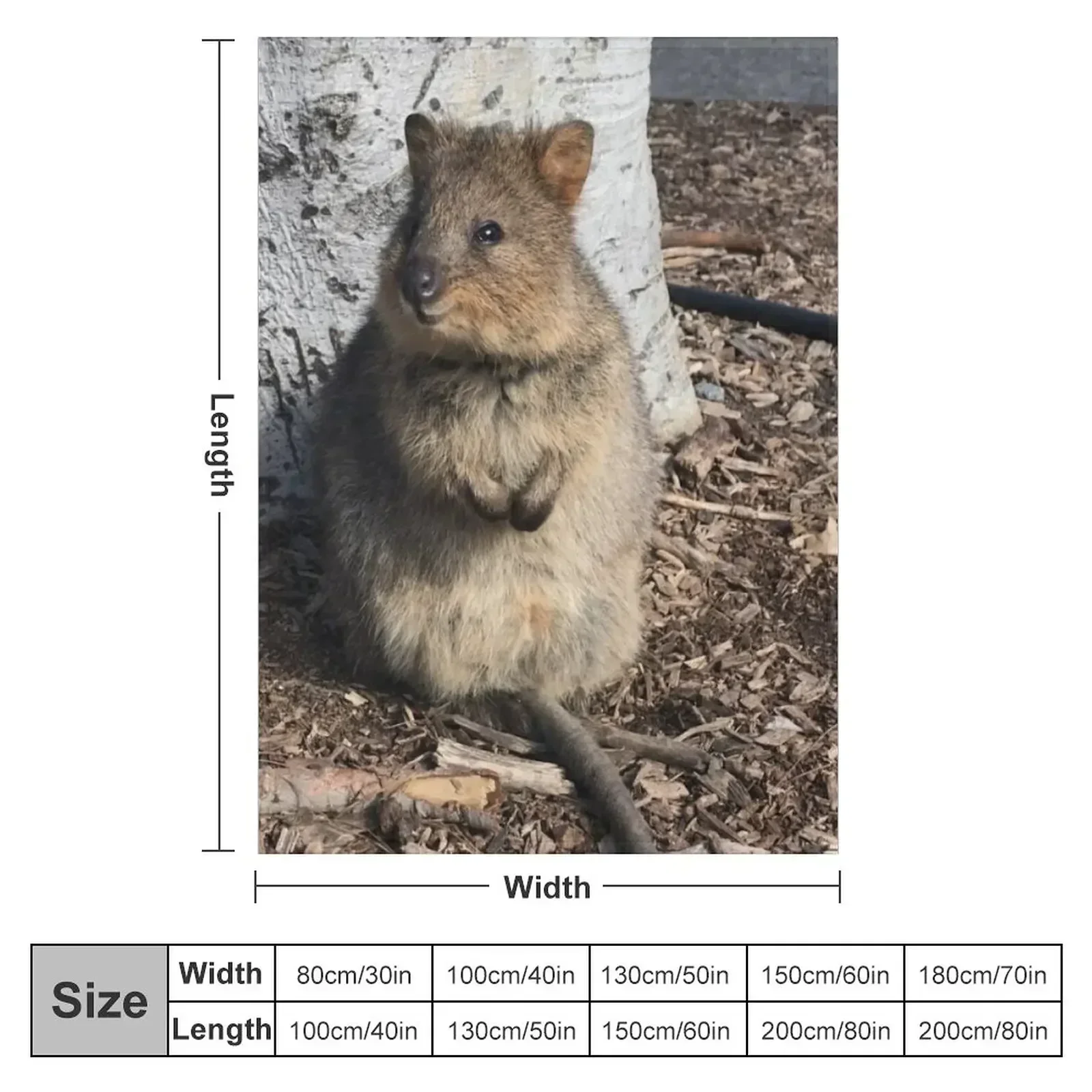 Quokka Throw Blanket couch cozy soft plush fuzzy picnic outdoor blanket