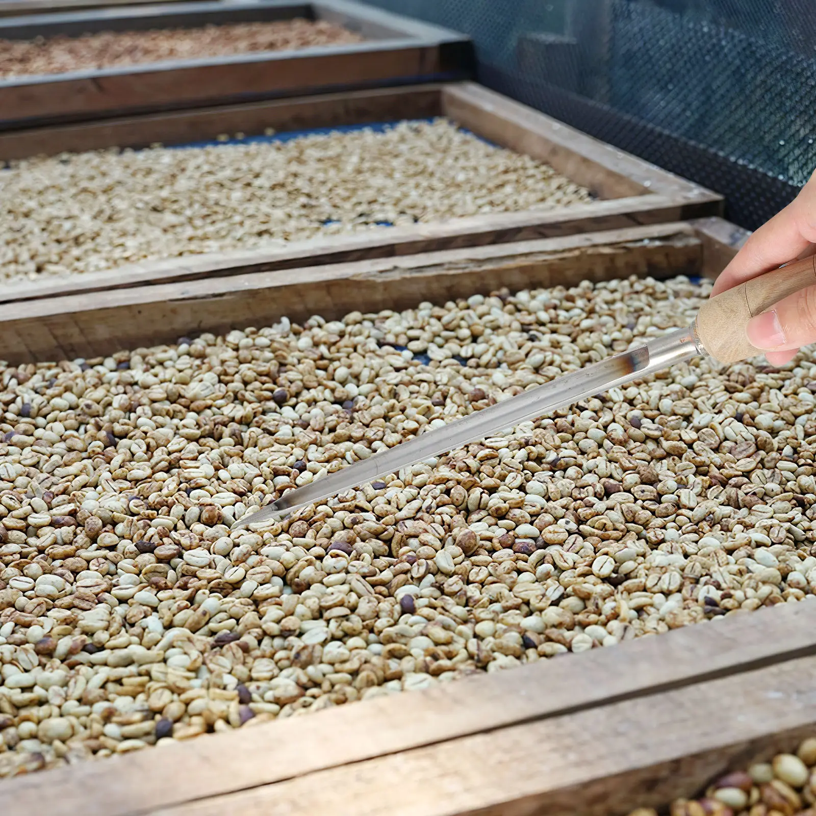 

Portable Stainless Steel Cereal Sampler for Wheat Corn Rice Grains Agriculture Supply Tool Wheat Sampler Agriculture Supply