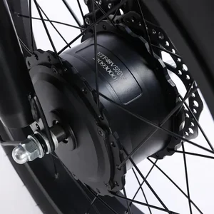 Elektrisches Dreirad 500W Motor 48V20AH Lithium-Lithium-Batterie*4.0 Fettreifen Schnee E-Bike-Speicherschläger 10 Hauptverkaufsmotor Moto -Dreirad - №9