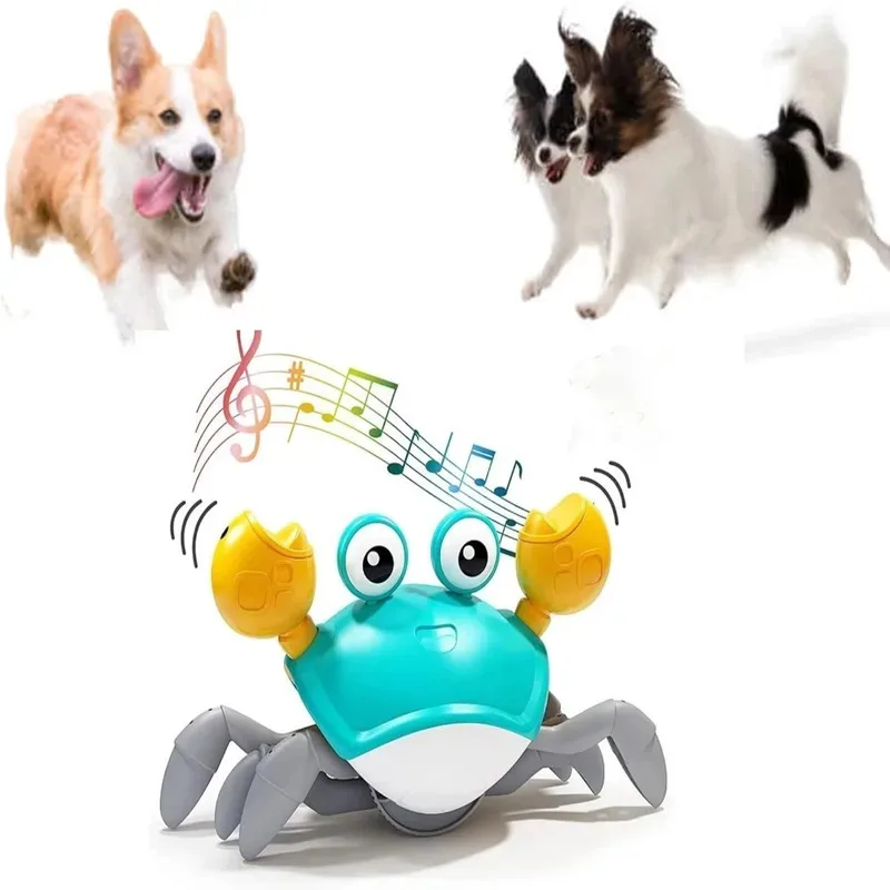 Dansend krabspeelgoed voor huisdieren met muziek en automatisch dansen, interactief plezier voor katten en honden - huisdierenentertainment voor binnen