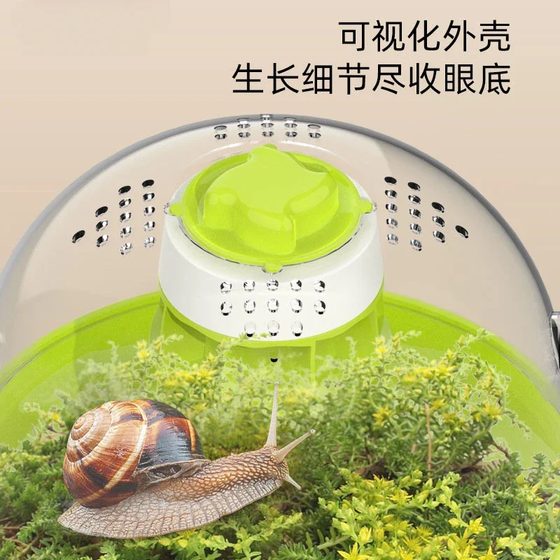 Insect observation box, white jade snail observation cabin, outdoor exploration, children's scientific experiment observation