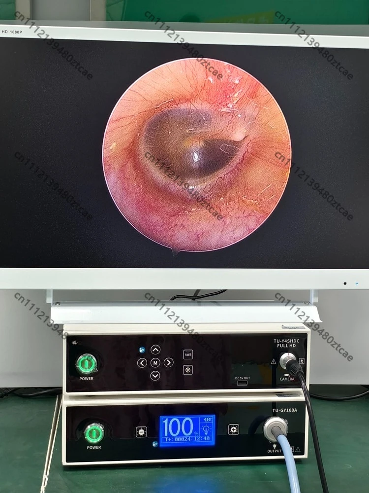 Commercial Ear Cleaning Endoscope Camera System Nasal Inspection Device for Pet Use