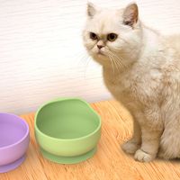 Silicone Pet Bowls with Bottom Suction Cups for Anti-slip and Anti-spillage Safe Material Easy to clean For kittens, Small Dogs