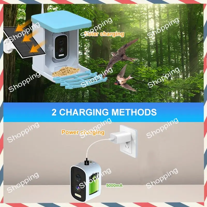 كاميرا فيديو لتغذية الطيور M20K مع لوحة شمسية واي فاي كاميرا شمسية خارجية لاسلكية كشف الحركة كاميرا مراقبة الطيور
